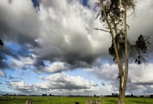 足球——U20亚洲杯:决赛赛前新闻发布会举行.