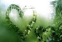 贝林:我们很好地执行了计划;也许我们还要在门前更果断一些.