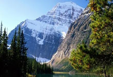 山东健儿完成亚冬会首秀 3金4银2铜收官.