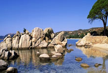 南宫28官网:张玉宁:对阵沙特队,中国队准备好了.